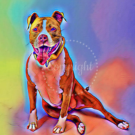 Lucia Digital Art
