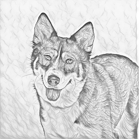Gray Sketch
