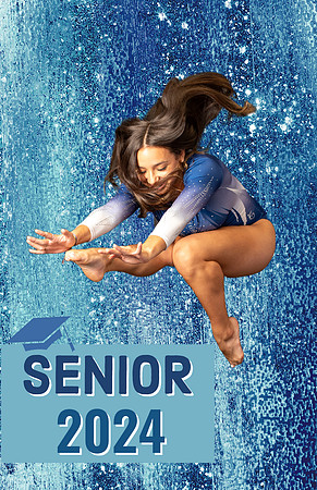 Custom Senior Poster Designs