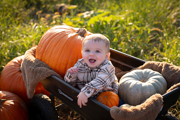 Smiling baby sitting in a wagon surrounded by large pumpkins during a fall pumpkin patch family photography session in Virginia.