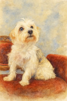 Nicole Watercolor 1
