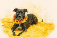 Watercolor Dog Art Lady Fall Sunflowers