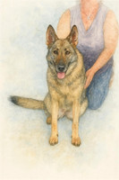 watercolor_dog_portrait