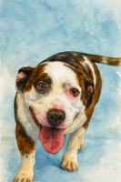 Dog Watercolor