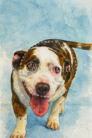 Dog Watercolor