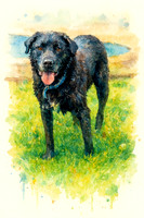 Vince Watercolor 1