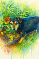 Lizzy Watercolor 1