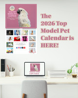 2026 Top Model Pet Calendar PreSale (1)