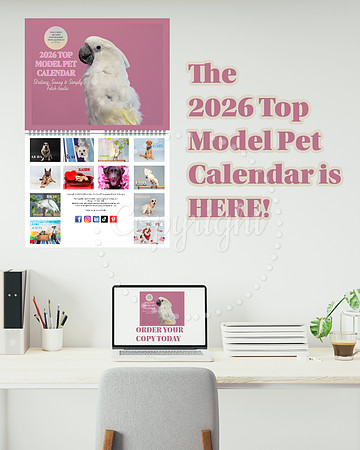 2026 Top Model Pet Calendar PreSale (1)