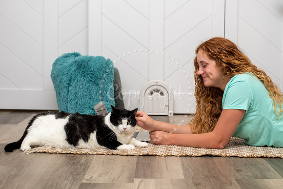 Cat Lifestyle product photography Chesapeake Virginia