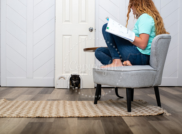 Commercial Pet Photographer
