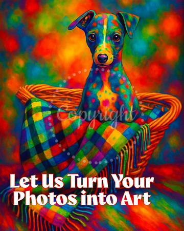 Turn Your Photos into Art
