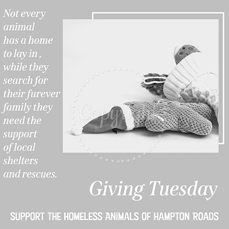 Giving Tuesday Marketing