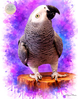 Wisdom in Violet: African Grey Parrot Fine Art Portrait