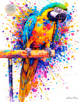 Color Takes Flight: Blue and Gold Macaw Fine Art Portrait