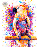 Feathers of Joy: Cockatoo Rainbow Fine Art Portrait