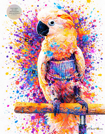 Feathers of Joy: Cockatoo Rainbow Fine Art Portrait