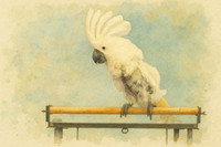 Stillness on the Perch: Cockatoo Watercolor Fine Art