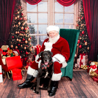 Pet Friendly Santa