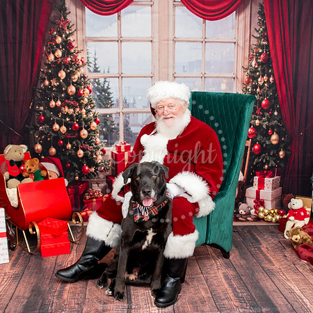 Pet Friendly Santa