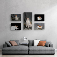 Damon 5 Piece Wall
