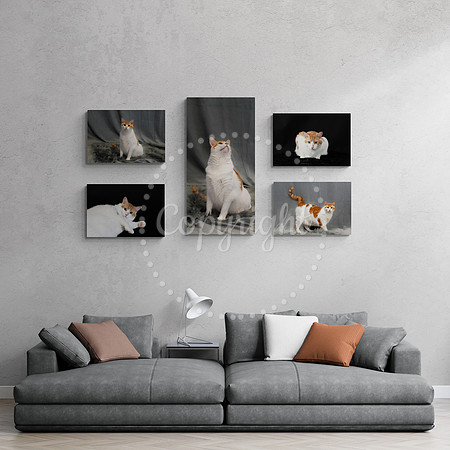 Damon 5 Piece Wall
