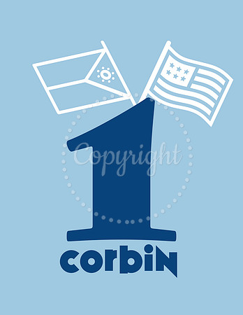 Boy First Birthday  Flags