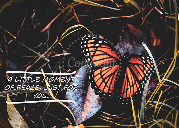 Butterfly Card-3-A Little Moment of Peace