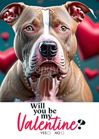 Red Nose Valentine Pit Bull Card