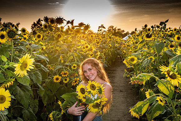 Sunflower Photography in Virginia Beach Virginia