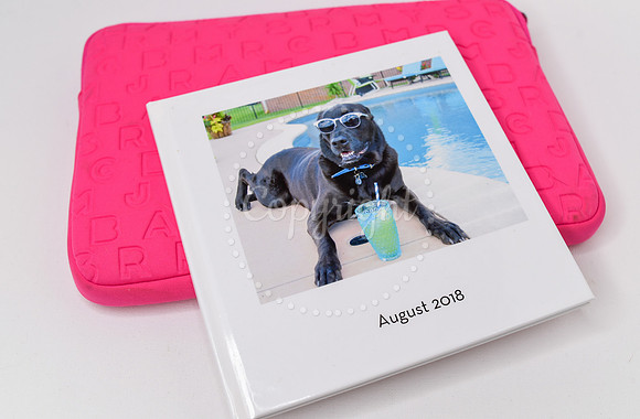 Summer Photography Series Blog