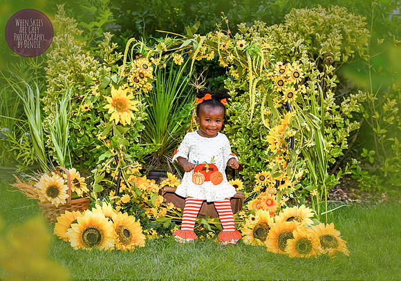 Sunflower Photography by Denise Powers, Chesapeake, Virginia