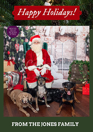 Christmas Cards 1