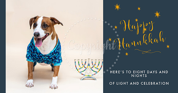 Happy Hanukkah Card