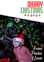 Merry Christmas Card