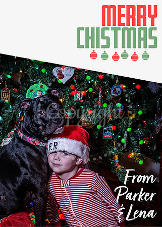 Merry Christmas Card