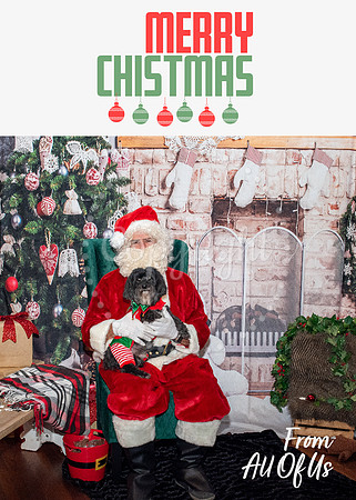 Christmas Card 4