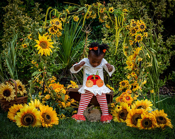 Fall Sunflower Photography Session in Chesapeake by Denise Powers