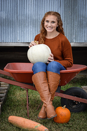 Wheelbarrow Pumpkins