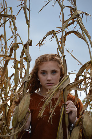 Fall Farm Corn Maze