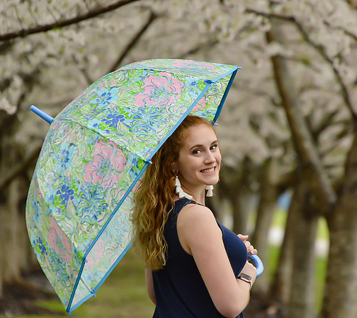 Lilly Pulitzer Cherry Blossoms
