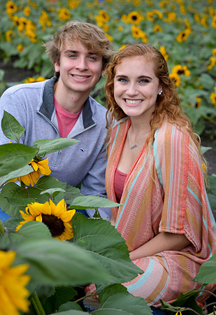 Couple In Sunflowers