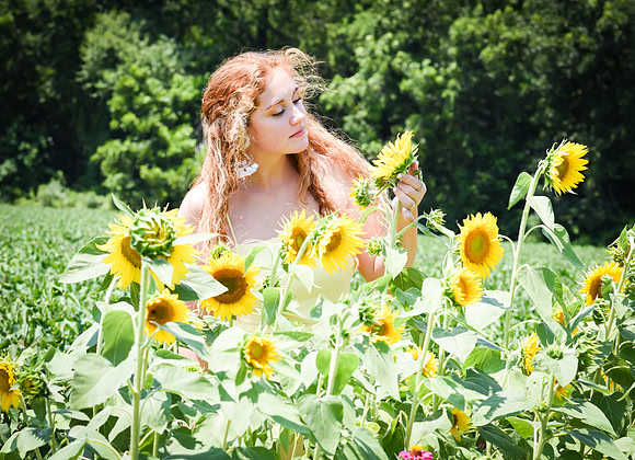 Young Lady in The Sunflowers