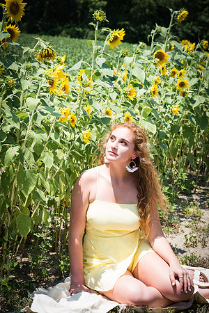 Beautiful Sunflower Field