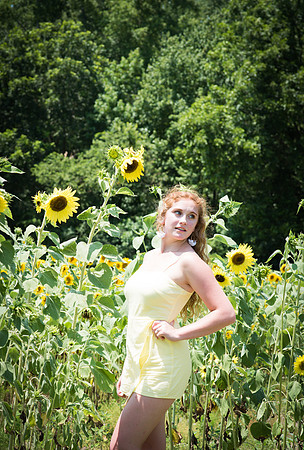 Let the Sun Shine Sunflower