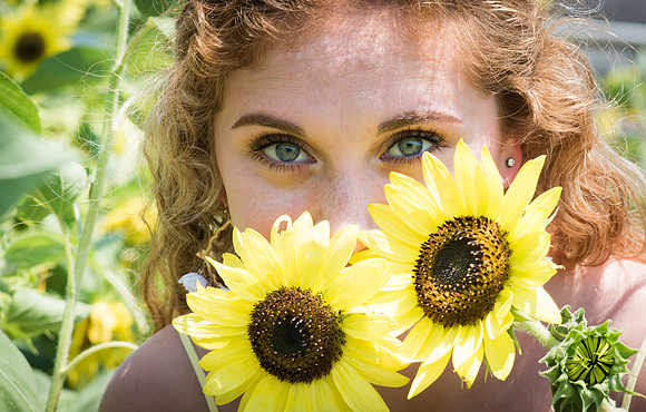 Sunflower Photography Sessions in Suffolk Virginia
