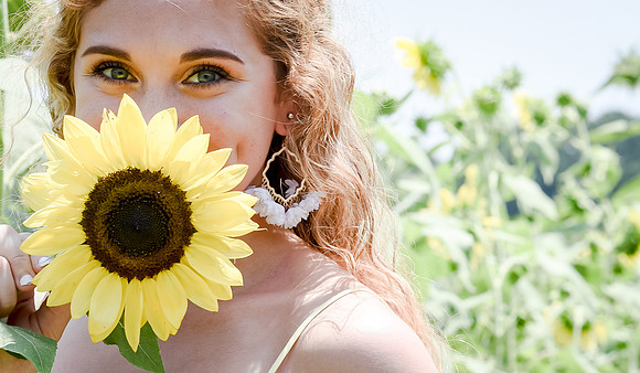 Sunflower Photography Sessions with Denise Powers