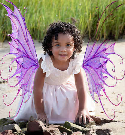 Purple Fairy