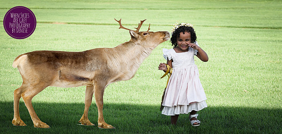 Reindeer Kisses