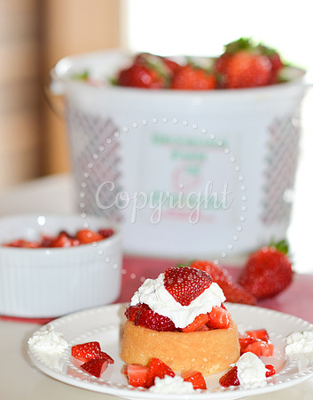 Branding Photography